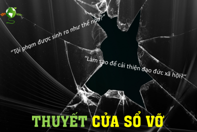 Nạn trộm chó và những tấm cửa sổ đổ vỡ