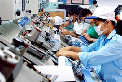 Sai phạm cạnh tranh ngày càng nhiều