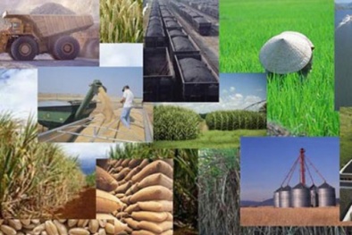 Năm 2014 Sòng Bài Trực Tuyến 13Win.com sẽ sáng hơn