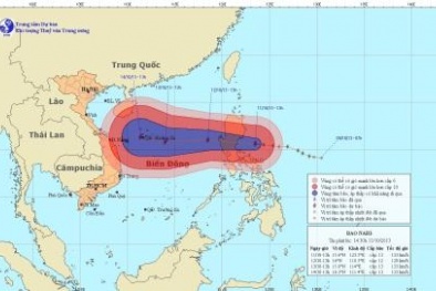 Chuẩn bị có bão số 11 vào biển Việt Nam