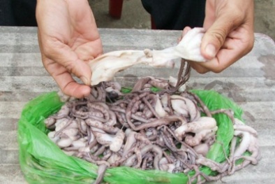 Thực phẩm giả: Nỗi lo người dùng
