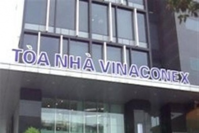 Vinaconex bổ nhiệm Phó Tổng giám đốc 