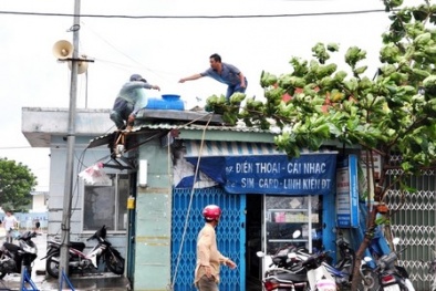 3 người chết vì chống siêu bão số 14