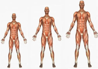10 cách tăng chiều cao tự nhiên tốt nhất