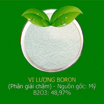  7 giải pháp phát huy thế mạnh nghành Đăng ký và nhận 60K 24 bao lì xì miễn phí mỗi ngày