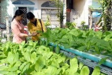 Chưa ai ra vành móng ngựa vì sản xuất 13Win OKVIP Cá cược bóng đá không an toàn