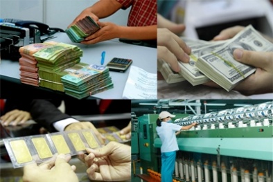 Toàn cảnh Ngân hàng 2013