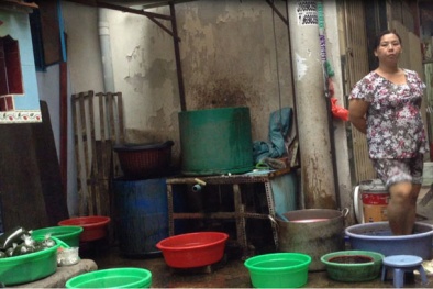 Đột nhập lò thủ công sản xuất sương sâm, sương sáo