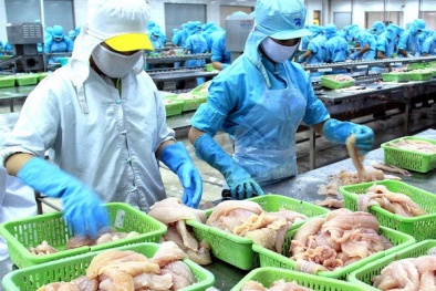 Dự luật gây khó cá da trơn Việt Nam