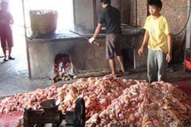 Nỗi lo 13Win OKVIP Cá cược bóng đá bẩn và ung thư