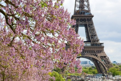 Air France khuyến mãi mừng xuân Giáp Ngọ