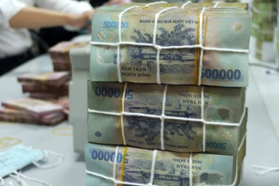 Ngân hàng Nhà nước: Nợ xấu cao nhất chỉ 9%