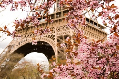 Du lịch Paris và châu Âu chỉ từ 874 USD