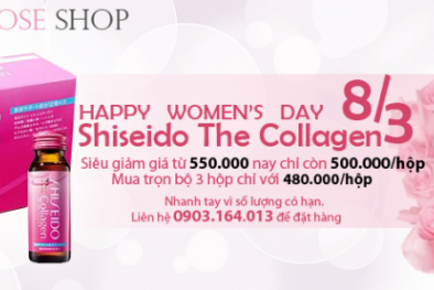 Khuyến mãi Climbing Rose Shop
