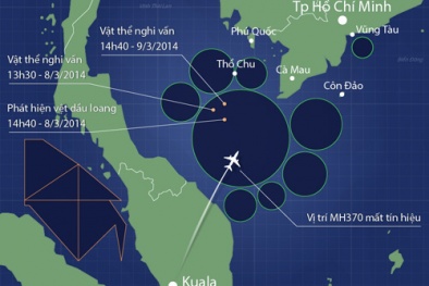 Nhà ngoại cảm tham gia tìm kiếm máy bay Malaysia mất tích