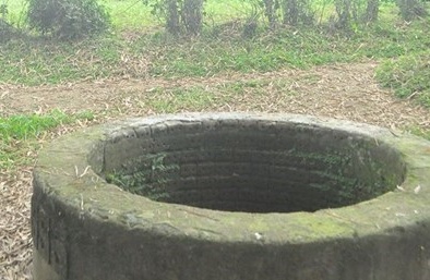 Rúng động nghi án mẹ ném con 3 tháng xuống giếng