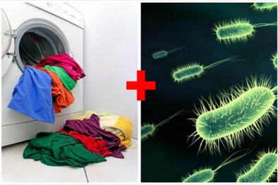 Ổ vi khuẩn trong máy giặt Đăng ký và nhận 60K 24 bao lì xì miễn phí mỗi ngày