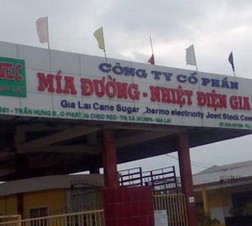 Công ty CP Mía đường - Nhiệt điện Gia Lai nhận chứng chỉ hợp quy 13Win OKVIP Cá cược bóng đá