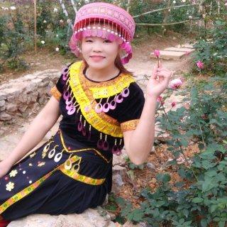 Nộp phí vào phố cổ Hội An: “Dường như tiền là mối quan tâm duy nhất của họ”