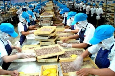 Năng suất thấp, Việt Nam đối mặt bẫy thu nhập trung bình