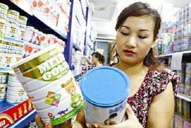Giá sữa rục rịch giảm mạnh