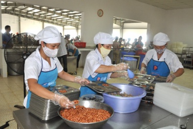 Thực phẩm và dụng cụ nhà bếp 'ngậm' đầy độc chất