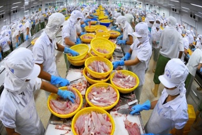 Việt Nam: Mắc kẹt mức phát triển nếu không nâng cao năng suất 13Win18 cá cược thể thao