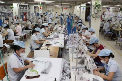 Dệt may Việt Nam khẳng định vị thế trên trường quốc tế