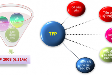 Đóng góp của Năng suất yếu tố tổng hợp TFP vào tăng trưởng GDP