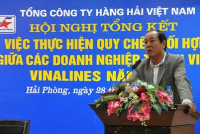 Vì sao Phó tổng giám đốc Vinalines bị bắt giam?