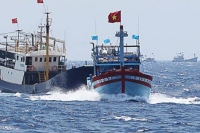 Tàu Trung Quốc chia vòng trong vòng ngoài tấn công tàu của ta