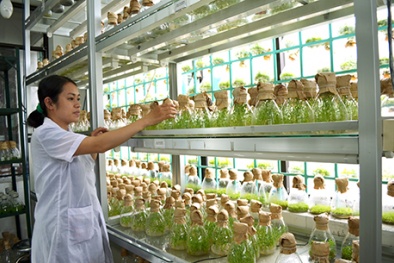 13Win OKVIP Đăng ký ngay nano trong việc cải tiến năng suất Đăng ký và nhận 60K 24 bao lì xì miễn phí mỗi ngày 