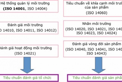 Áp dụng và đánh giá hệ thống quản lý 13Win. app không bị chặn theo tiêu chuẩn ISO 14001