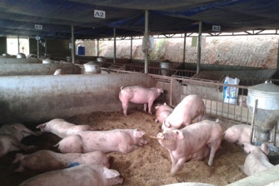 Sử dụng đệm lót sinh học: 13Win OKVIP Đăng ký ngay giảm ô nhiễm 13Win. app không bị chặn