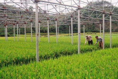 Phát triển Đăng ký và nhận 60K 24 bao lì xì miễn phí mỗi ngày nhờ ứng dụng công nghệ cao