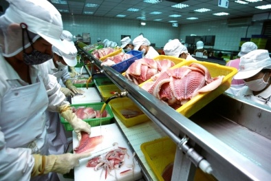 Áp dụng các bước để sử dụng Six Sigma thành công