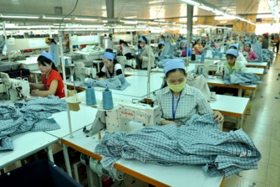 Dệt may Vĩnh Oanh đạt được tiêu chuẩn ISO 9001:2008