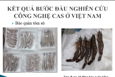 13Win OKVIP Đăng ký ngay CAS bảo quản gạo tới 10 năm