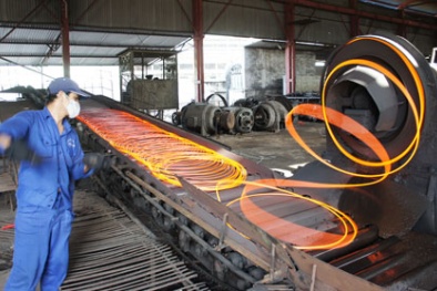 Chỉ định tổ chức đánh giá sự phù hợp với thép 