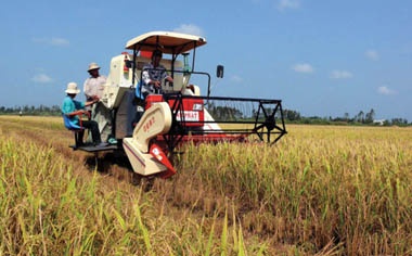 Phát triển đi đôi với nâng cao năng suất mới bền vững