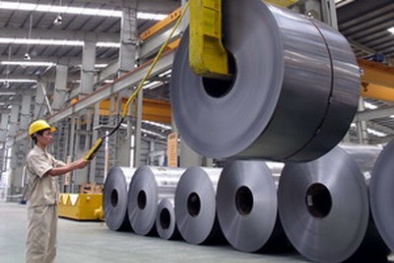 Trách nhiệm của tổ chức đánh giá sự phù hợp được chỉ định