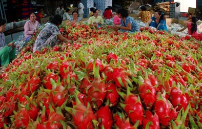 Chào bán nhiều công nghệ sau thu hoạch