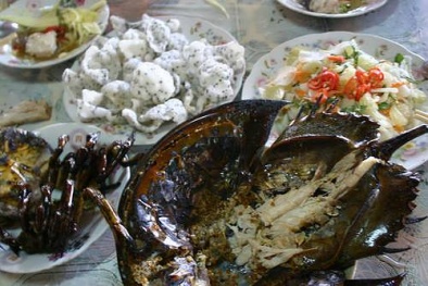 Chết người vì ăn nhầm sam biển 