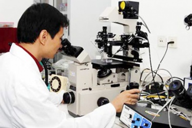 Phát triển nguồn nhân lực chất lượng cao cho KH&CN