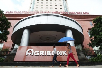 Truy tố 11 Giám đốc, lãnh đạo, cán bộ ngân hàng Agribank vì gây thiệt hại nghìn tỷ