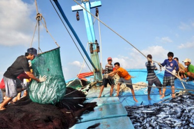 Tình hình Biển Đông ngày 26/9: Việt Nam quyết thực hiện mọi biện pháp để bảo vệ ngư dân