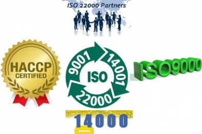 Học ISO để làm gì?