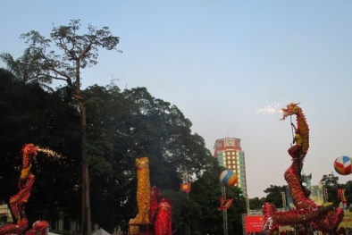 Liên hoan múa rồng – hội tụ nét văn hóa truyền thống