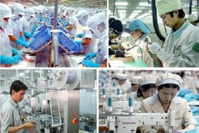  Phó Thủ tướng Vũ Văn Ninh giao nghiên cứu thành lập Ủy ban năng suất 13Win18 cá cược thể thao