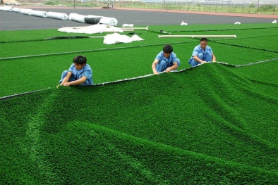 Cỏ nhân tạo có nguy cơ gây ung thư